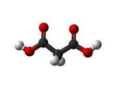 对硝基苯肼盐酸盐图1